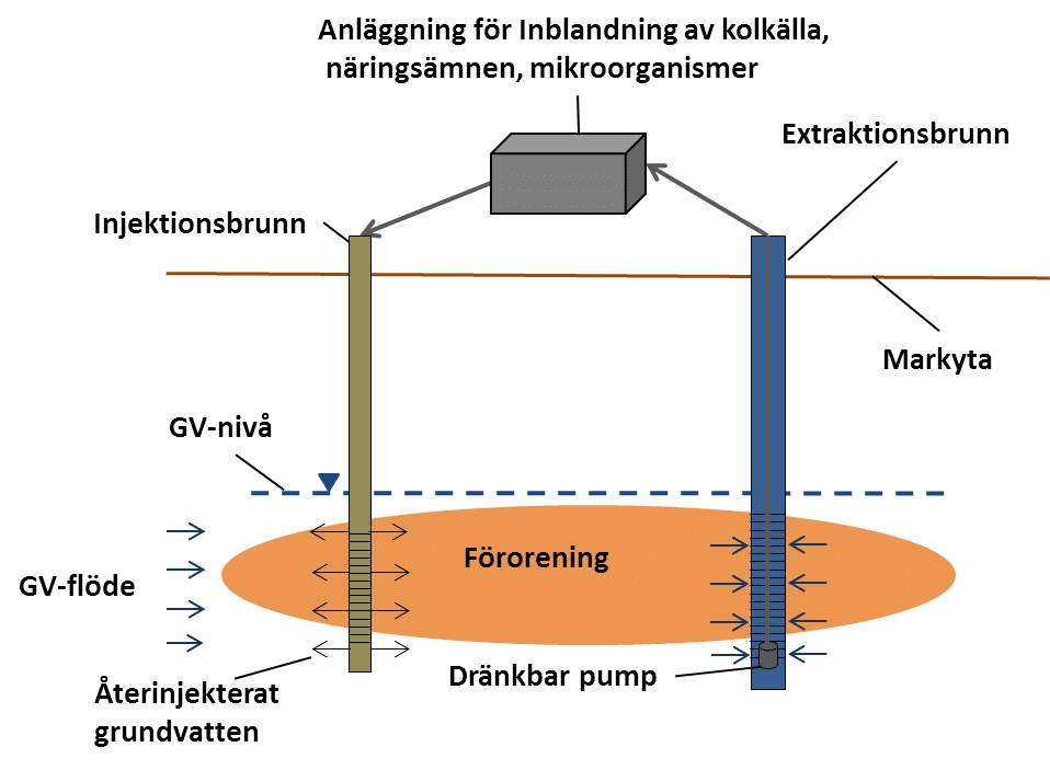 skiss biologisk injektering