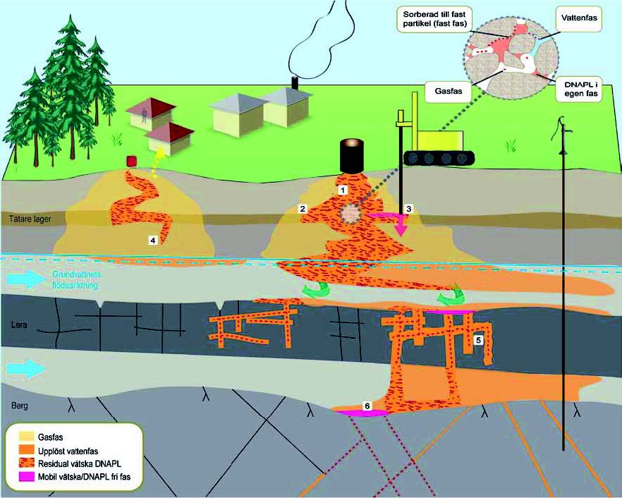 kloreradealifFIG3medium
