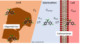 pahfig3biotillgänglighet