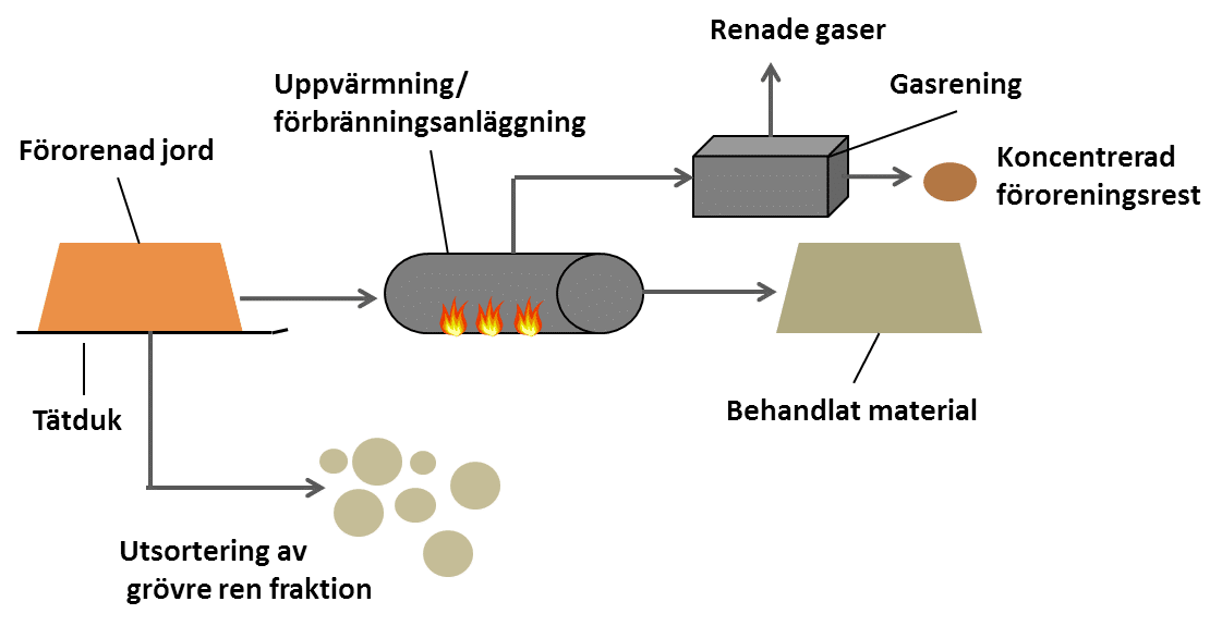 skiss termisk ex situ