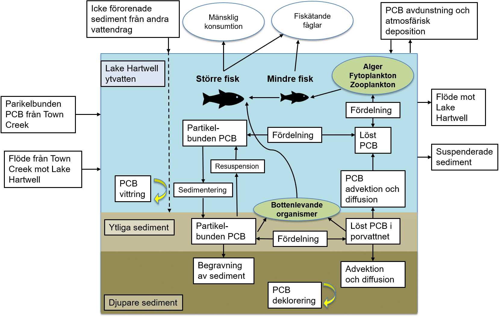 skiss MNR processer2