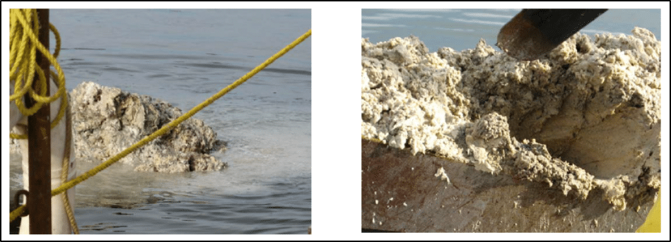 fiberbanksed envir canada