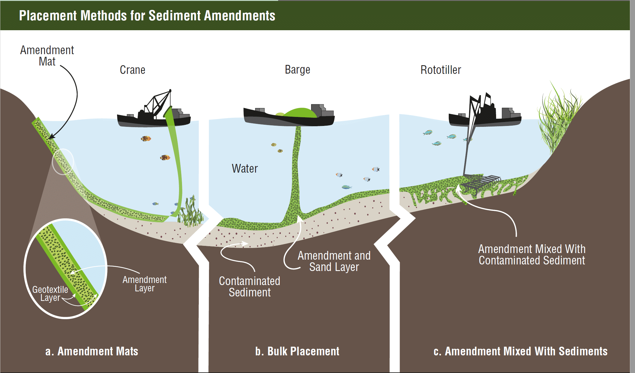 placing caps insitu USEPA